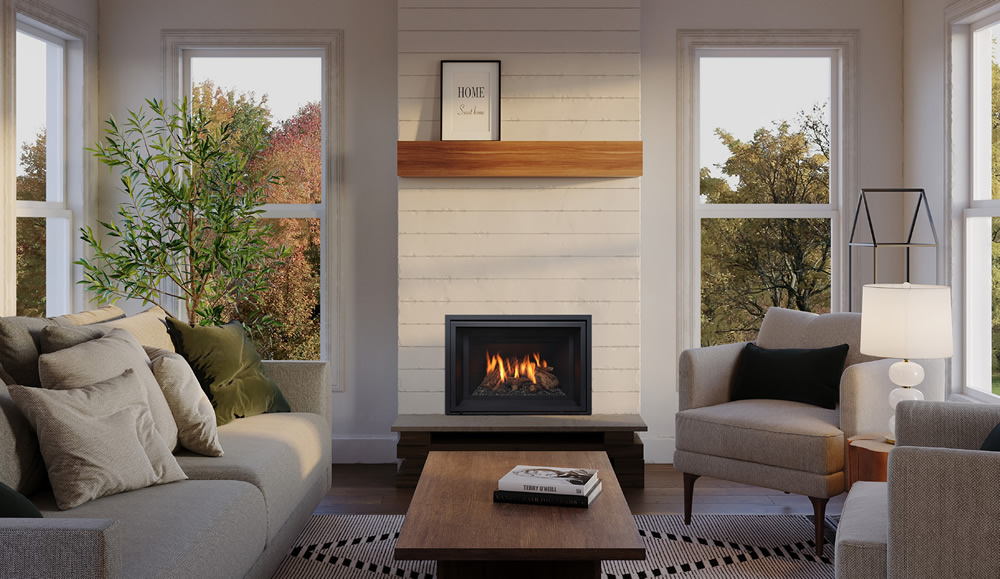 Gi25 Regency Gas Fireplace Insert Gi25